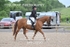 BPP_9290