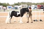 SBM_09296