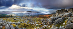 Burrator