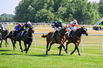150726-Race 4-The Good Biscuit-3367