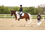 SBM_006911