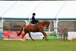 SBM_02951