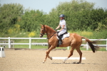 SBM_008903