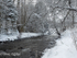 River Carron in the Snow 1