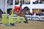 SBM_004463