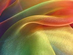 Limited Edition Prints portfolio