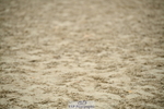 251004A-110731-00544