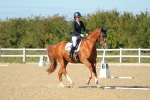 SBM_002230
