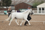 SBM_08455