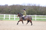 SBM_007595