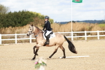 SBM_009906