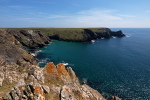 Vellan Head #3