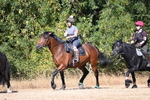WJ6_7940