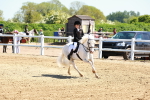 SBM_007168