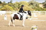 SBM_010714