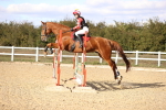 SBM_003345