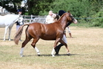 WJ7_1568