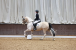 SBM_000988