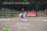 BPP_0536