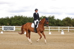 SBM_006294