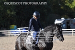 BPP_9103