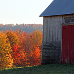 Old Barn Autumn Foliage New Brunswick Canada
