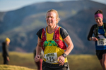 Sale Fell-388