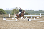 SBM_004638