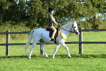 SBM_56407