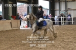 BPP_5168
