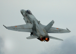 F18 Super Hornet
