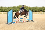 SBM_001384