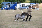 WJ6_6852