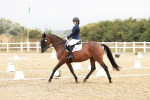 SBM_002828
