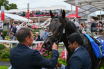 270724-Race 1-Alflaila-9505