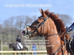BPP_5121