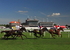 A Day at York Races