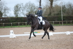 British Dressage portfolio