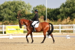 SBM_008103