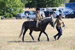 WJ6_7785