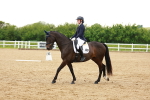 SBM_006371