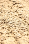 SBM_004649