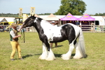 SBM_08848