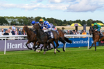160926-Race 2-Northern Viola-9722