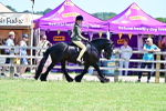 SBM_15323