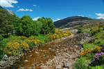 River Torridon, Wester Ross