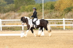 SBM_012341