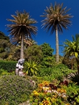 The Abbey Garden, Tresco #2