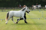 SBM_00565
