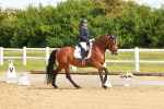 SBM_007659